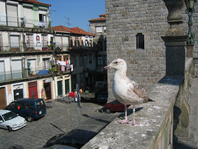 porto, portugal 2004