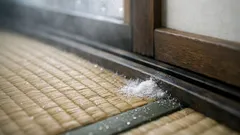 畳にカビが生える条件はこれだった、湿度の危険ラインと梅雨の予防術