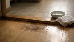 フローリングの黒ずみとベタつきを落とす方法、汚れの正体から順番まで徹底解説